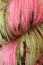 Baah Yarn La Jolla Color of the Month