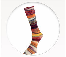 Laines du Nord Eclectic Sock