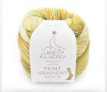 Laines du Nord Paint Gradient Sock