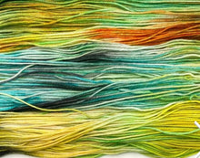 Dream in Color Classy