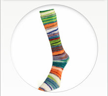 Laines du Nord Eclectic Sock