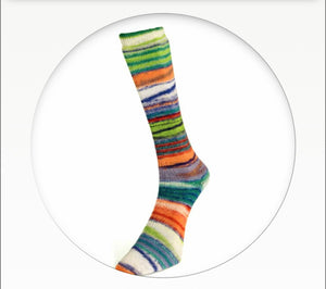 Laines du Nord Eclectic Sock