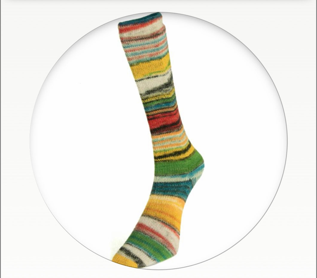Laines du Nord Eclectic Sock