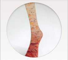 Laines du Nord Paint Gradient Sock