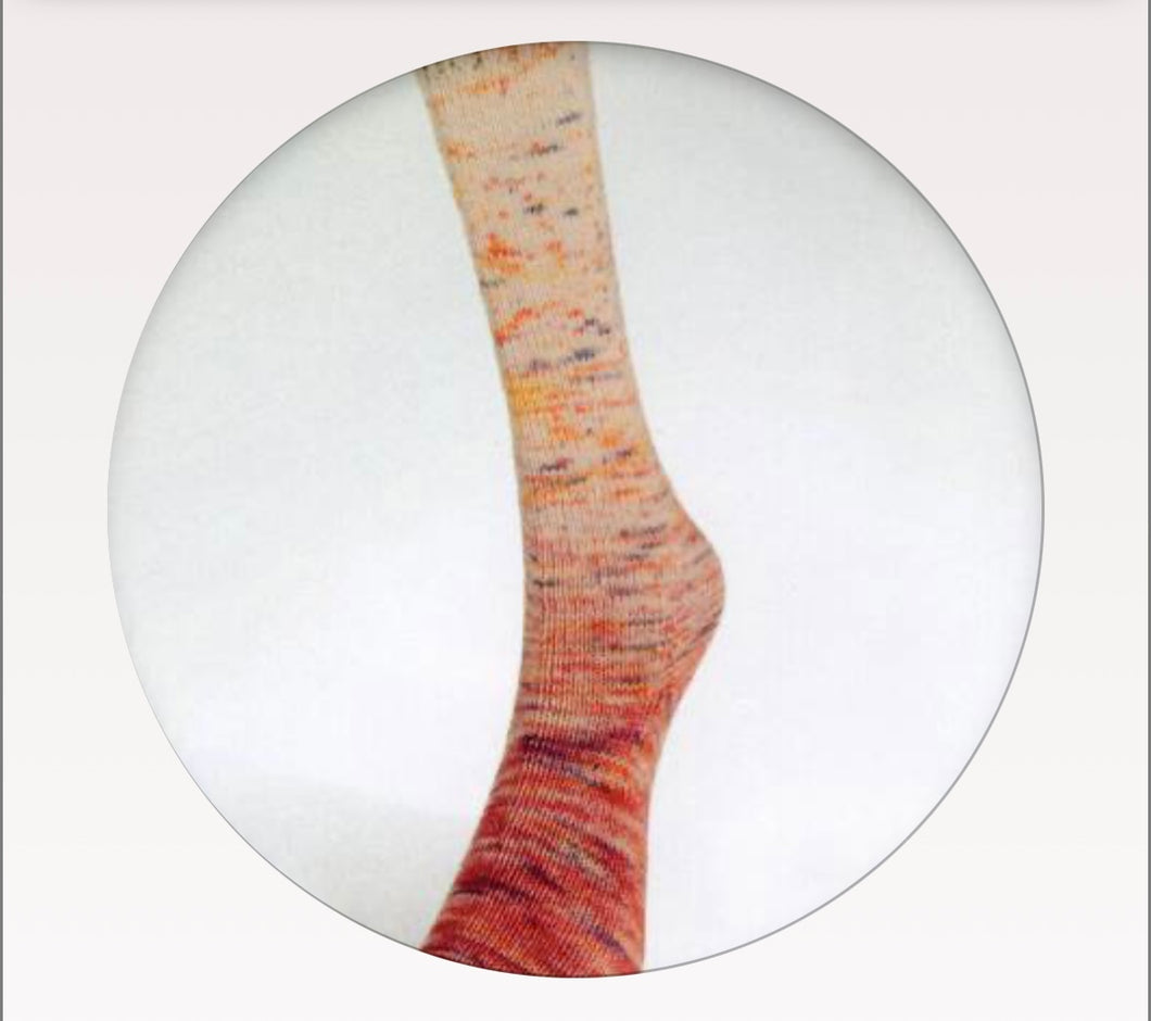 Laines du Nord Paint Gradient Sock