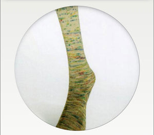 Laines du Nord Paint Gradient Sock