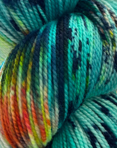 Baah Yarn La Jolla Color of the Month